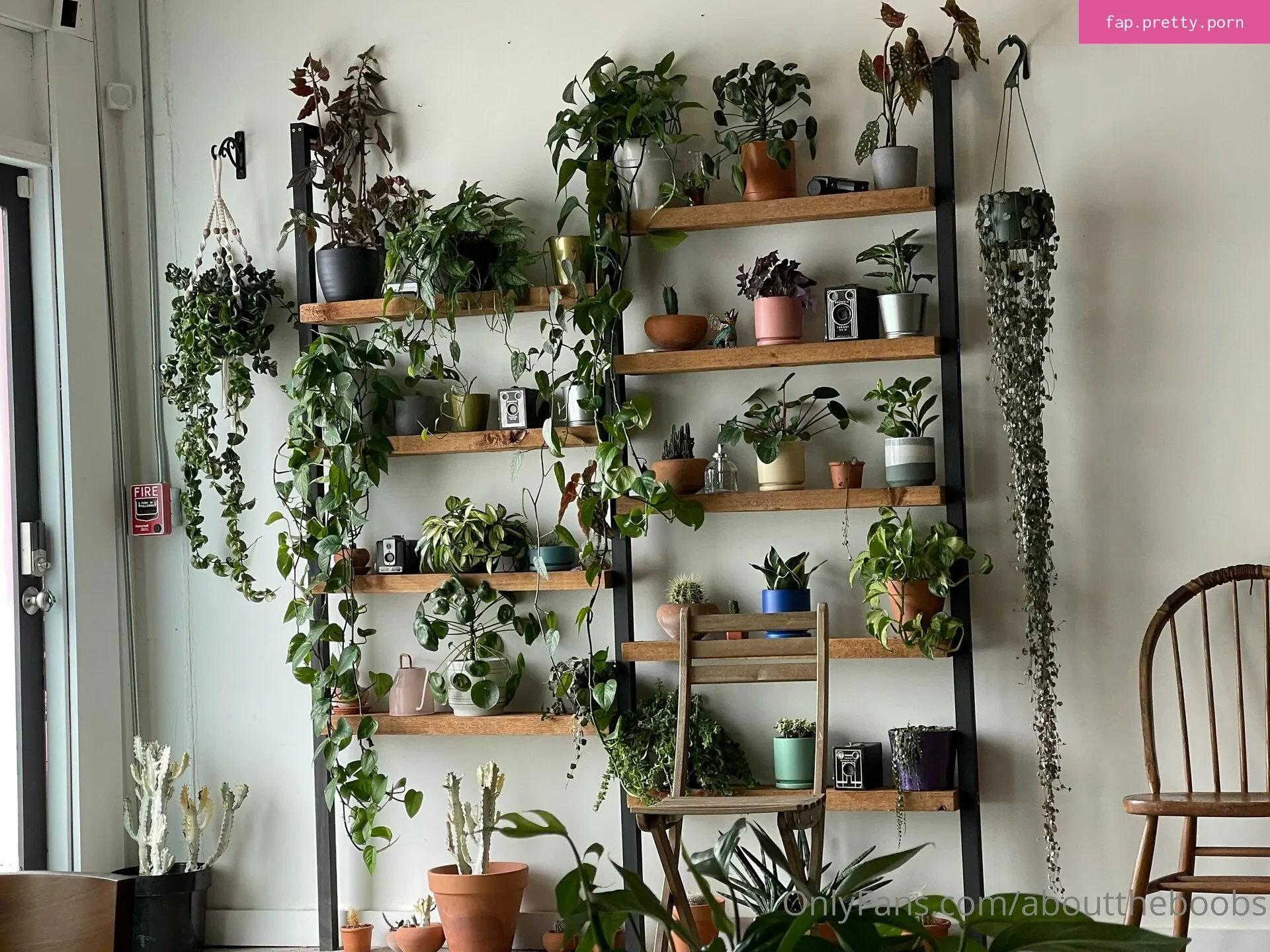 jenvonnfree - Photo #18