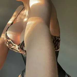 Karlardz content