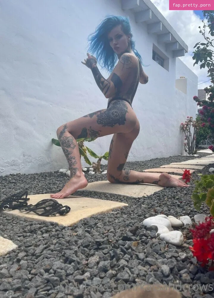 Katsandcrows - Photo #47