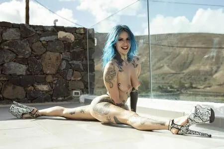 Katsandcrows content