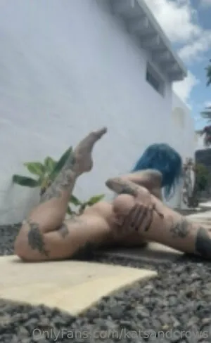 Katsandcrows content