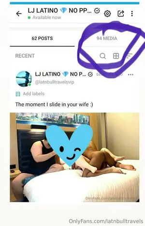 latnbulltravels content