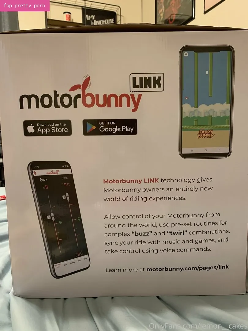 lemon__cakes - Photo #16