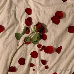 luci_celadine_ content