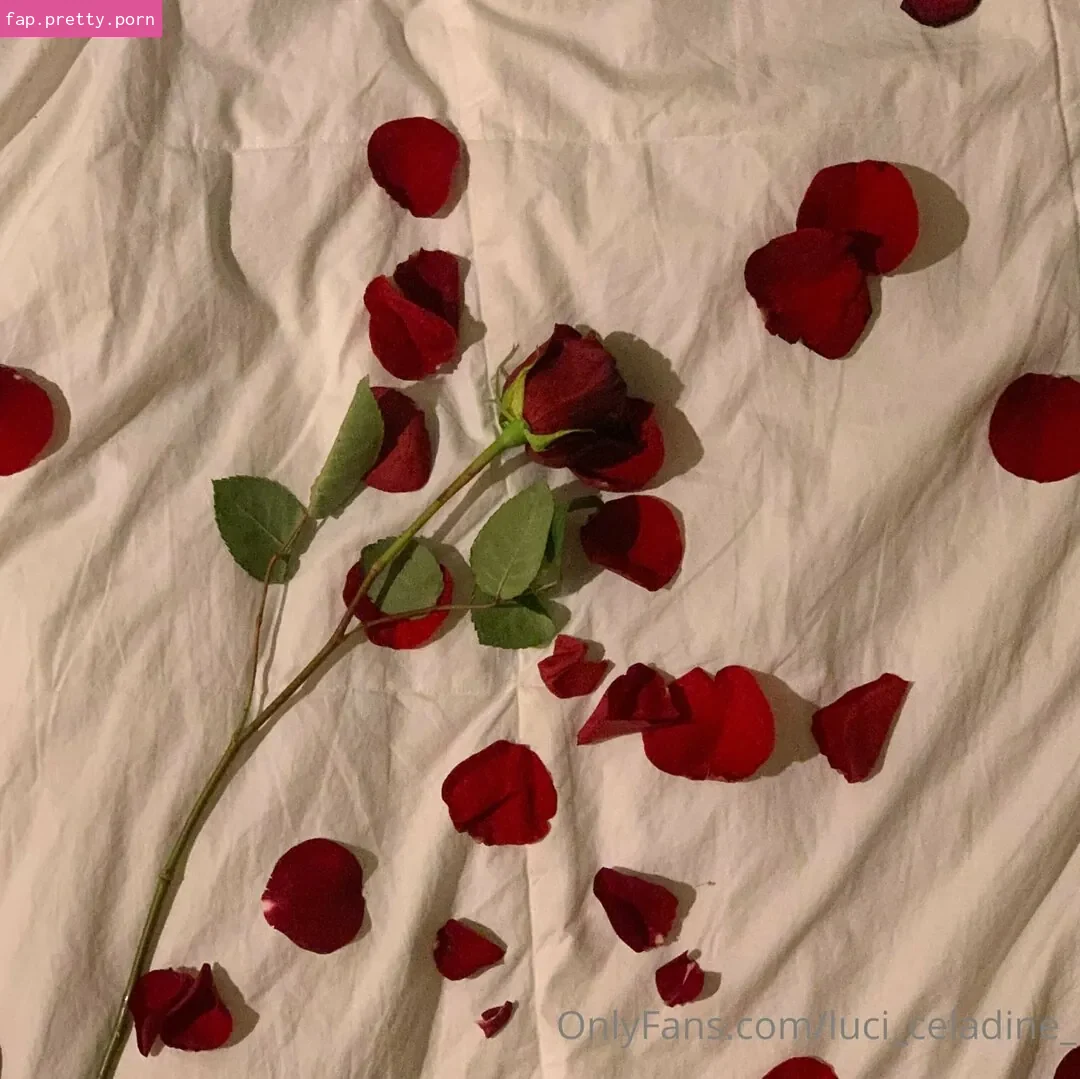 luci_celadine_ - Photo #11