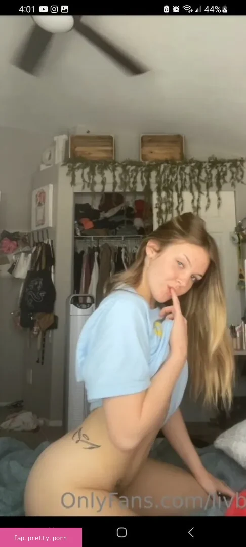 Livbawek - Photo #16