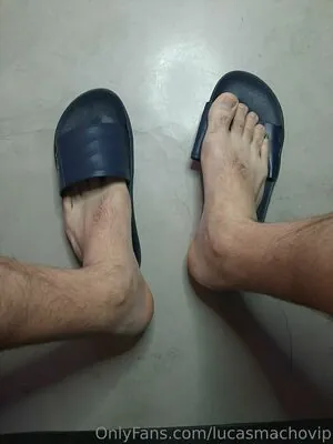 lucasgomezvip content