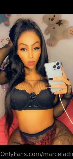 marceladimovfree content