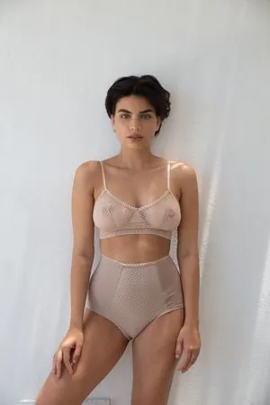 Michal Harodi content