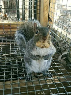 mikaylarainesfans content