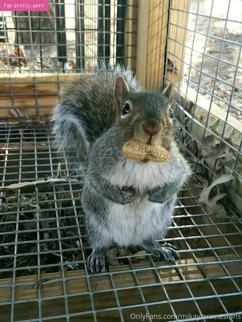 mikaylarainesfans - Photo #39