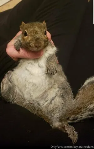 mikaylarainesfans content