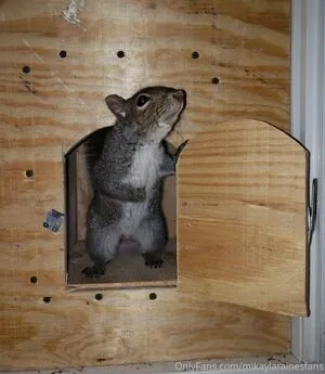 mikaylarainesfans content