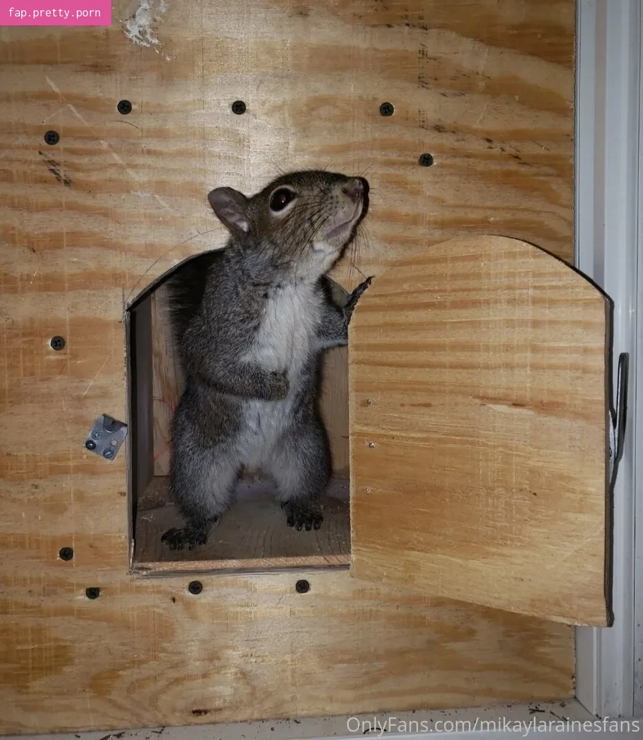 mikaylarainesfans - Photo #42