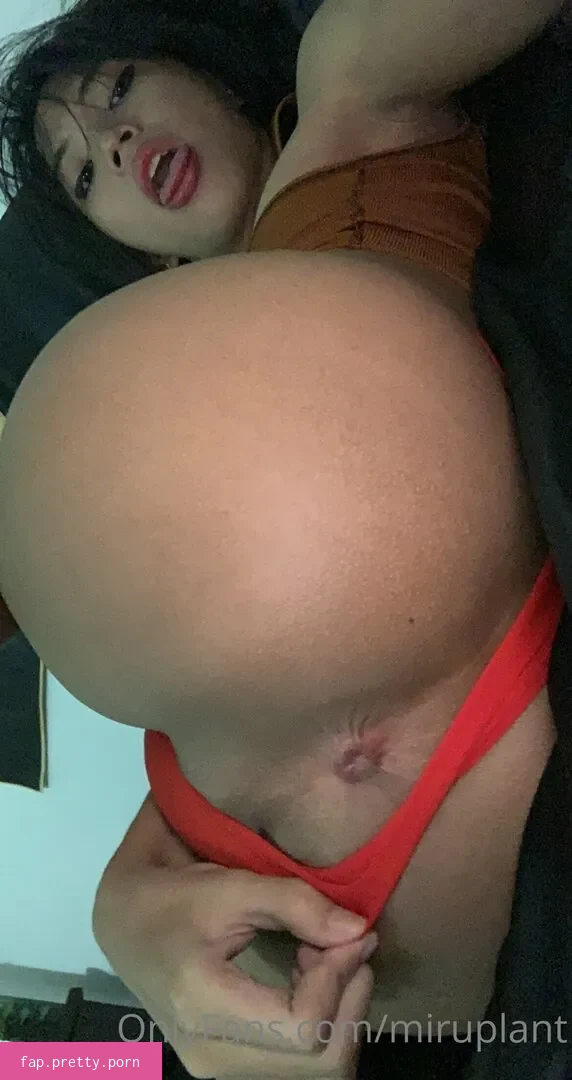 miruplanttt - Photo #27