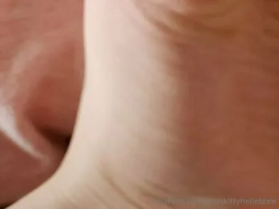 misskittyhellebore content