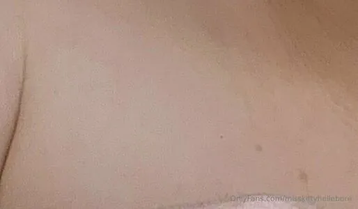 misskittyhellebore content