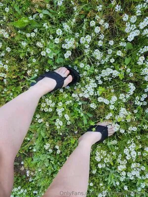 misskittyhellebore content