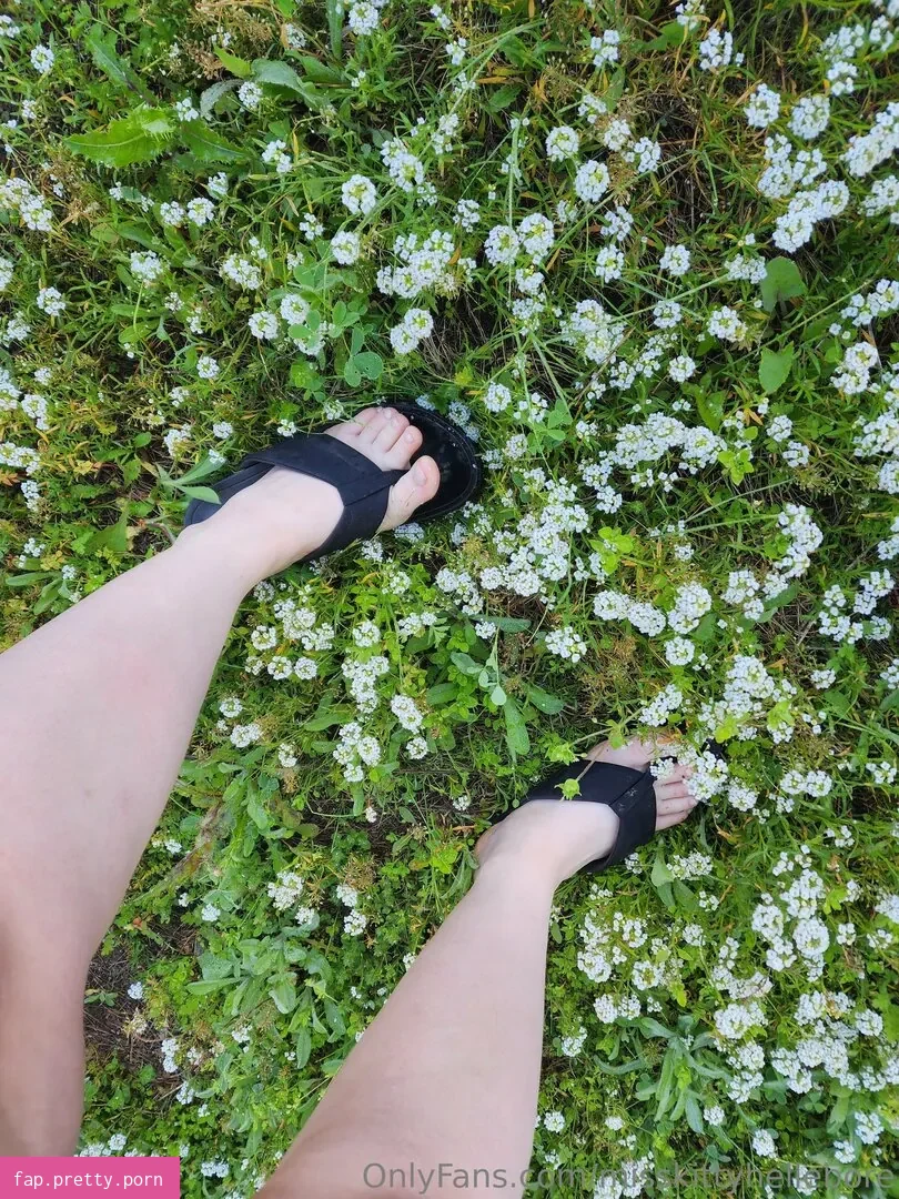 misskittyhellebore - Photo #58