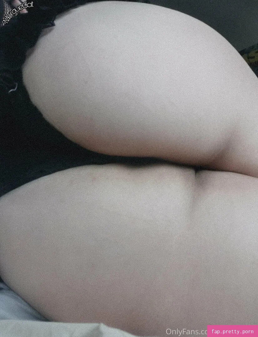 morguecat - Photo #64