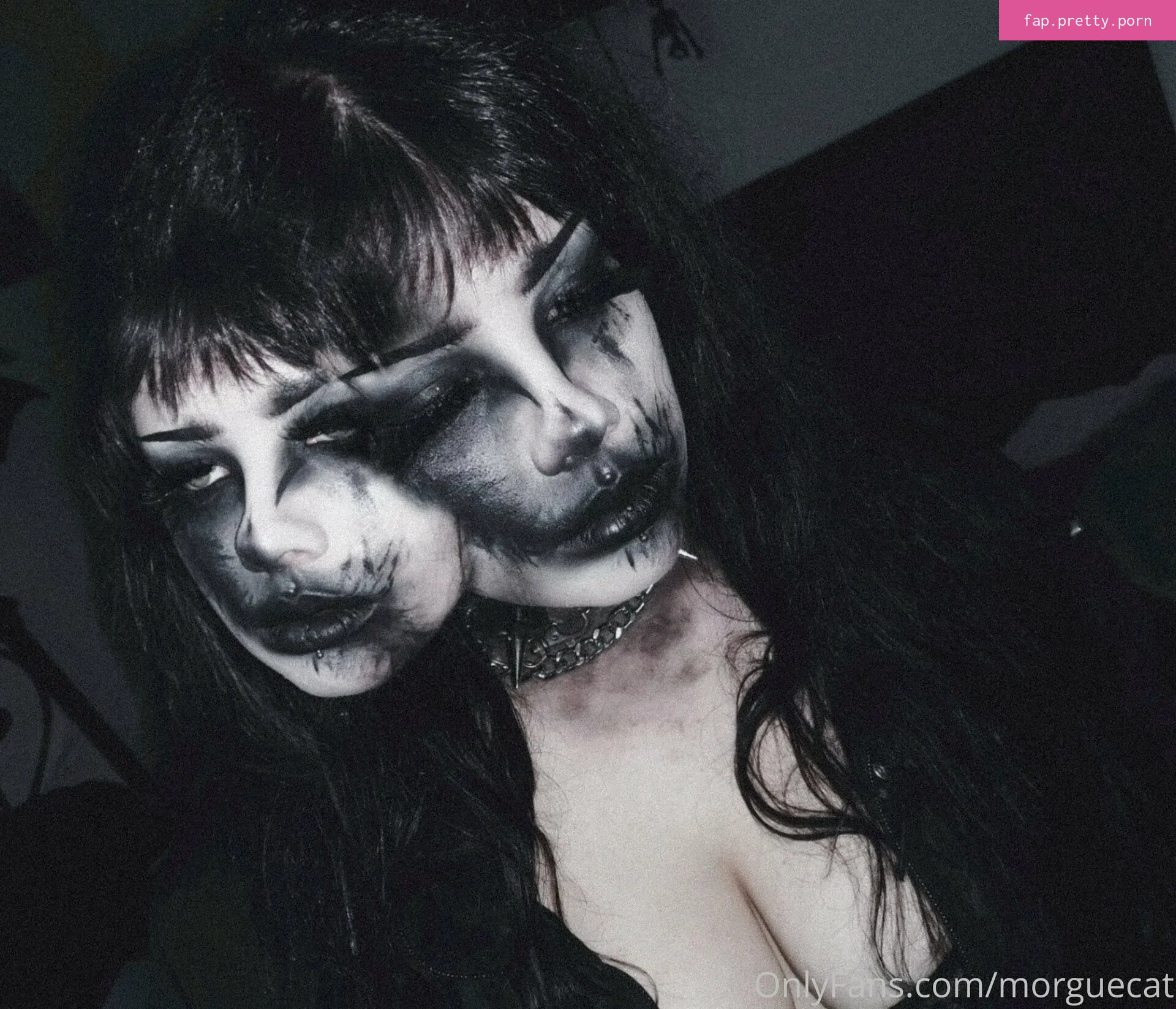 morguecat - Photo #16