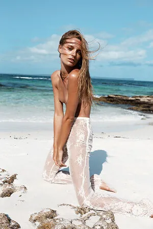 Maya Stepper content