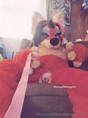 murrsuitmenagerie content