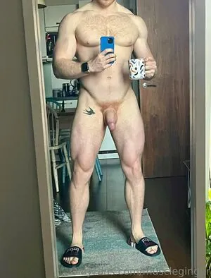 muscleginger content