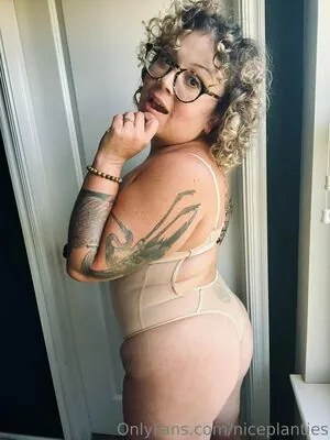 niceplanties content