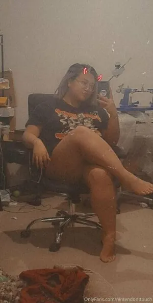 nintendonttouch content