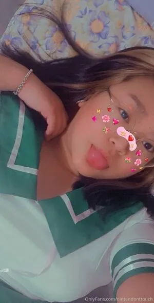 nintendonttouch content