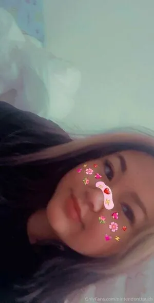 nintendonttouch content