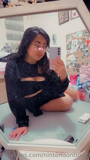 nintendonttouch content