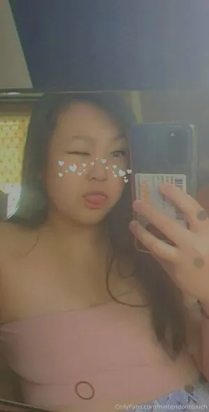 nintendonttouch content