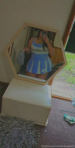 nintendonttouch content