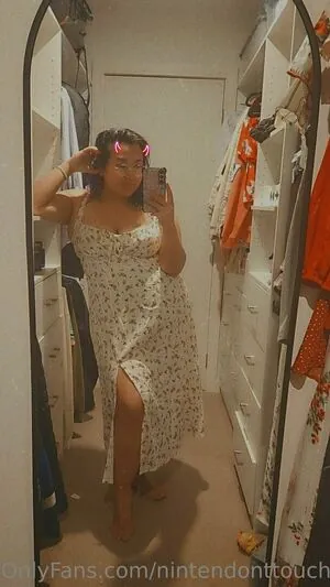 nintendonttouch content