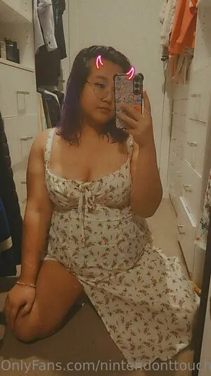 nintendonttouch content