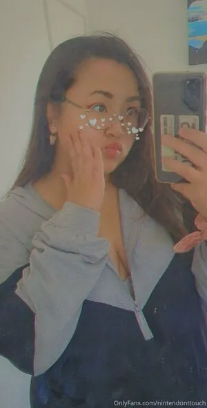 nintendonttouch content