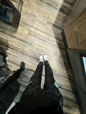 NoraExplorer content