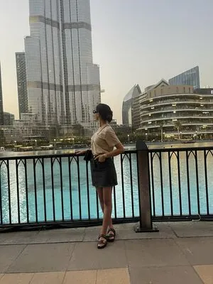 NoraExplorer content