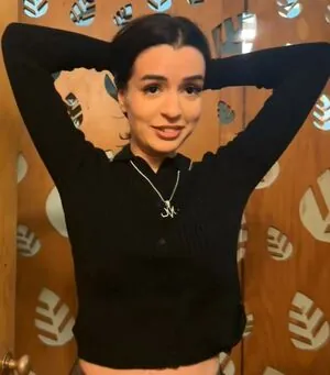 NoraExplorer content