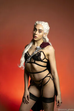 norcro_photo content