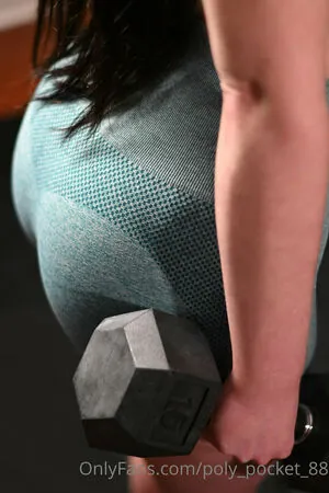 poly_pocket_88 content
