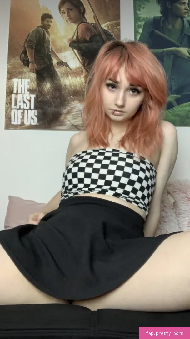 Purple5awesomedog - Photo #31