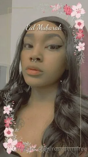 rosedemifree content