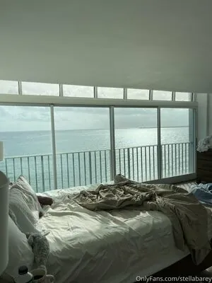 stellabarey content