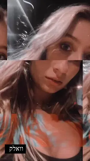 Shachar Alkoser content