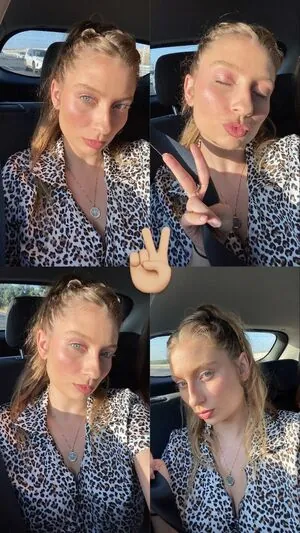 Shachar Alkoser content