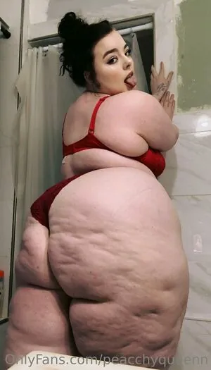 snowangelcake content