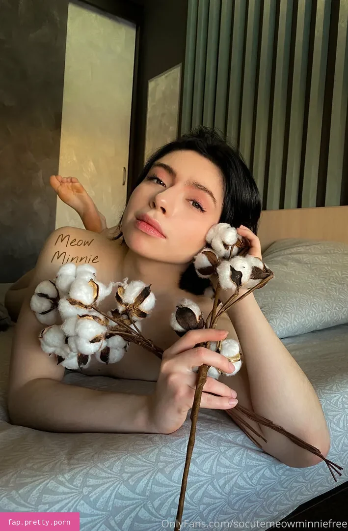 socutemeowminniefree content